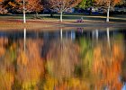 TWK 8131 MowingFallColor copy  Russell Page mows his lawn between several trees near a small lake at his home in Spartanburg, SC Thursday afternoon, 11-9-2006. The fall colors are at their peak in the Upstate area. (AP Photo/ Spartanburg Herald-Journal/Tim Kimzey)